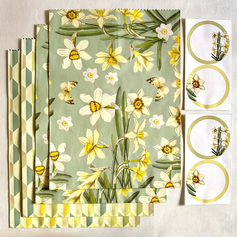 Daffodils Gift Envelopes and Stickers Set